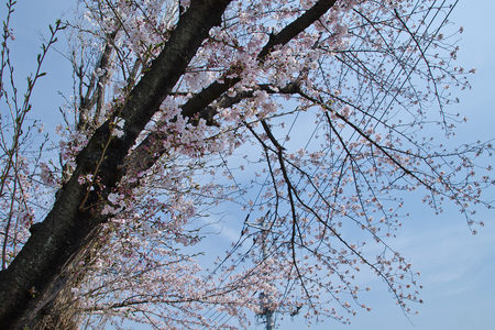 DSC_0922a.jpg