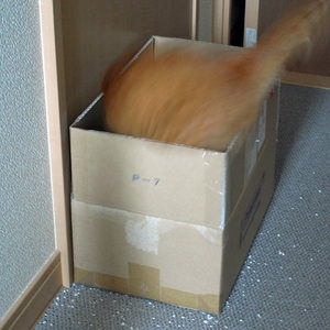 R0010380a.jpg
