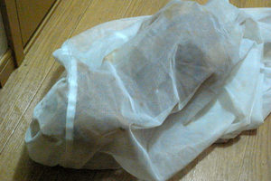 R0010495a.jpg
