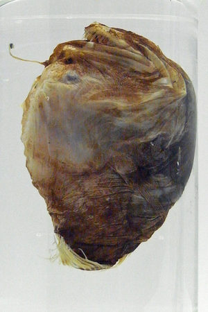 R0011809a.jpg