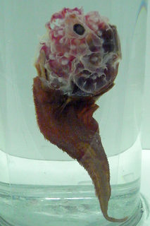 R0011810a.jpg