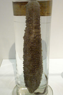 R0011812a.jpg